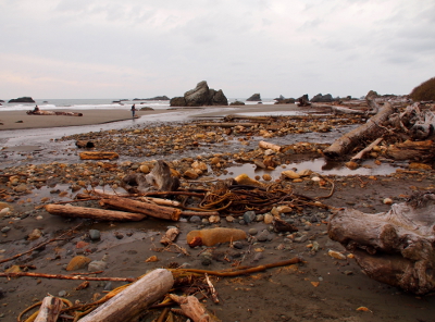 [An irregular flow of water through a mass of large stones, driftwood, and seaweed.]